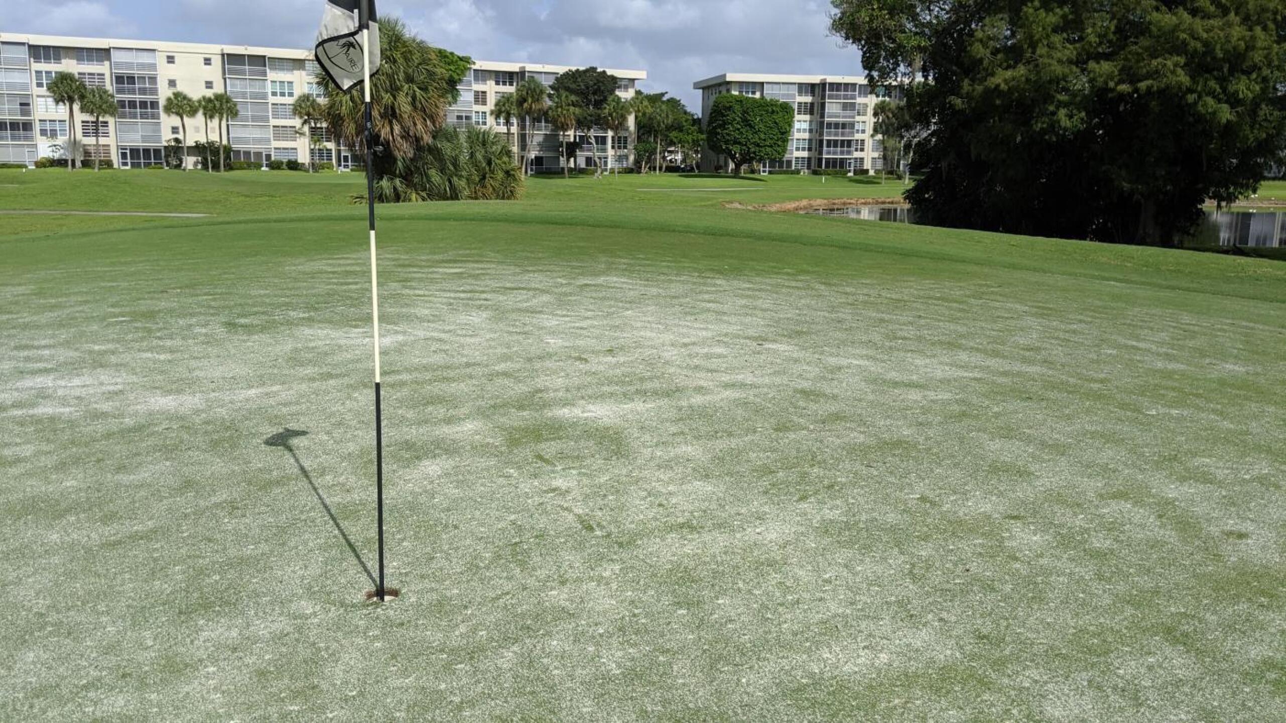 (Photo submitted by bcraft06 on 08/18/2019)