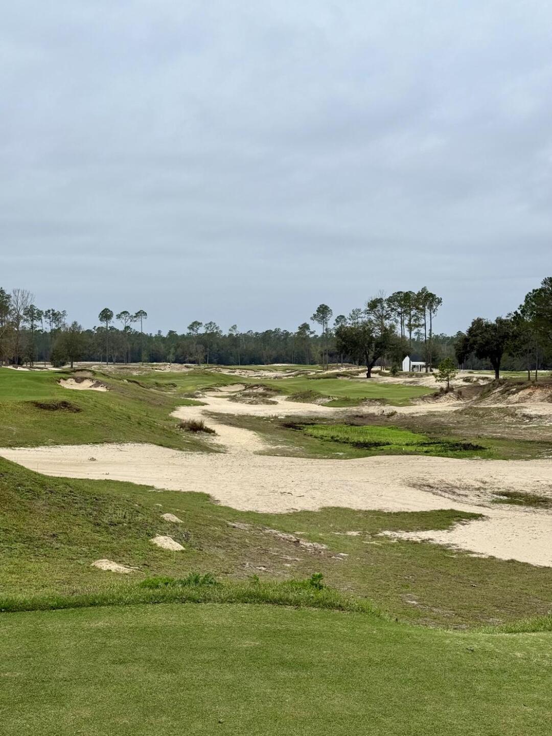 (Photo submitted by rich4par on 02/23/2025)