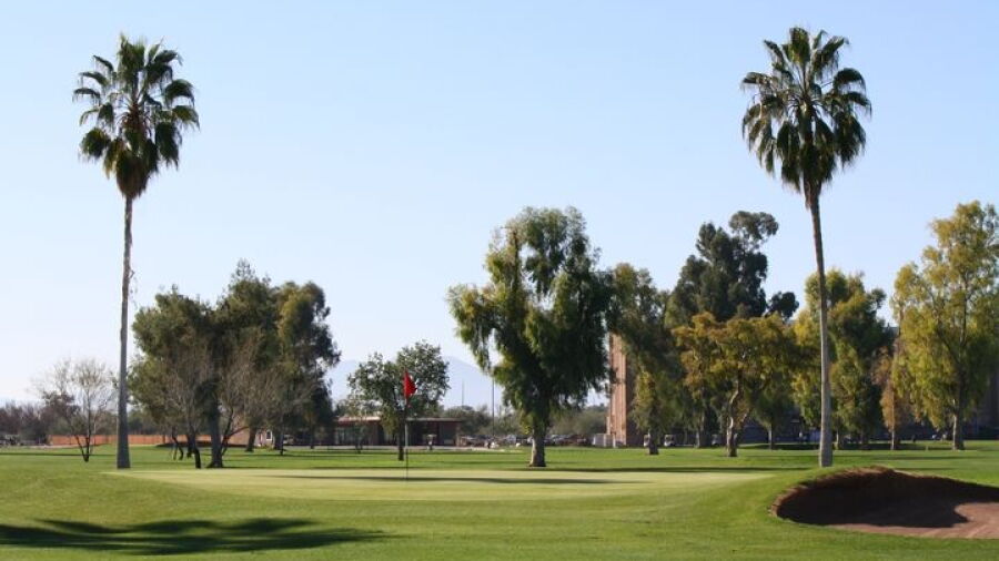 Toka Sticks GC