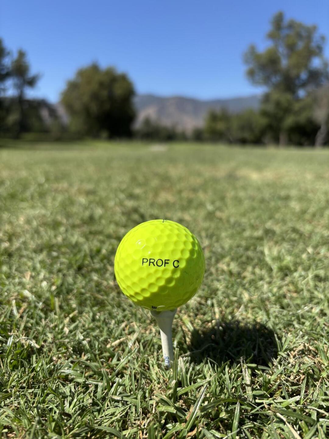 (Photo submitted by lcuny11 on 08/01/2025)