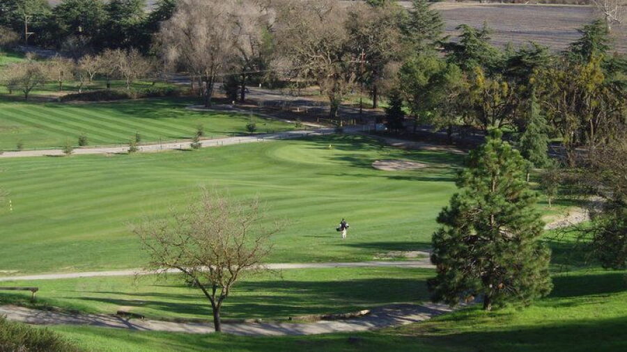 Gilroy GC: #8