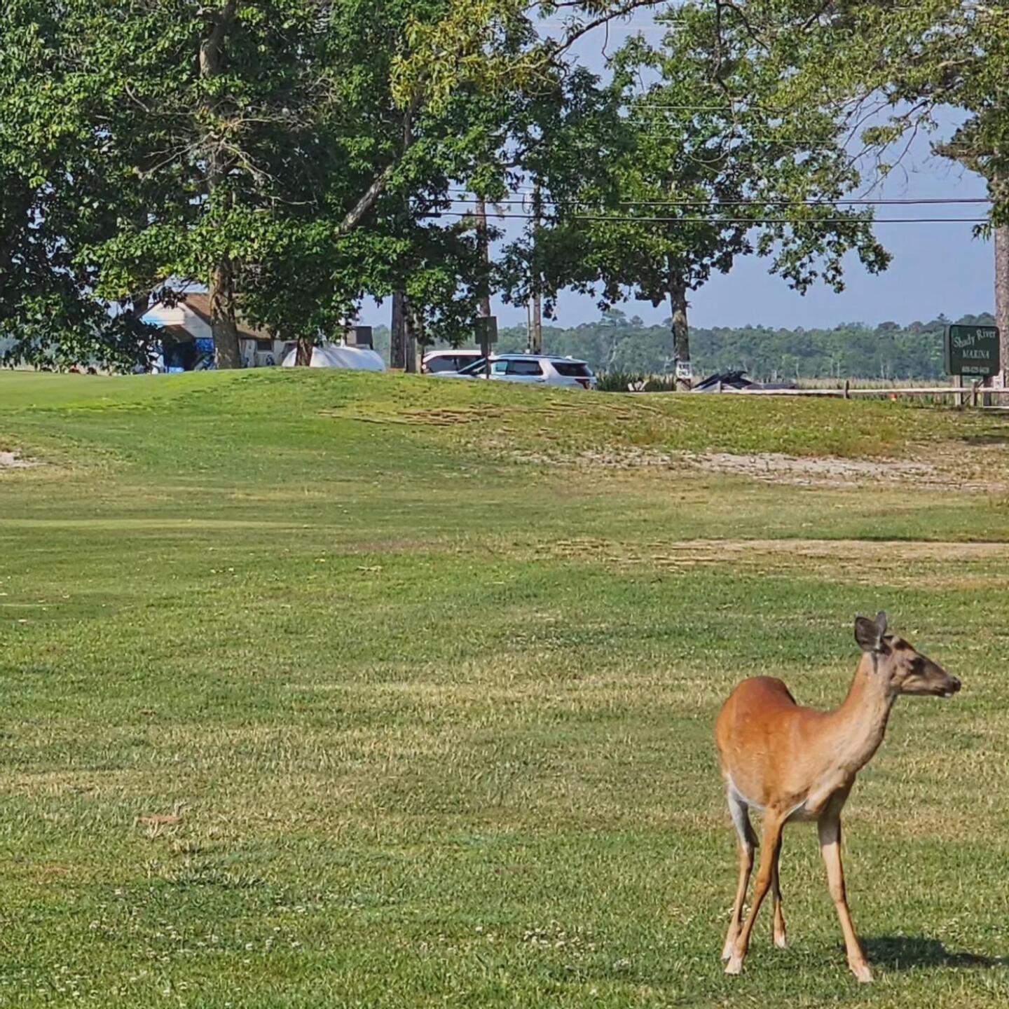 (Photo submitted by John6712591 on 06/20/2023)