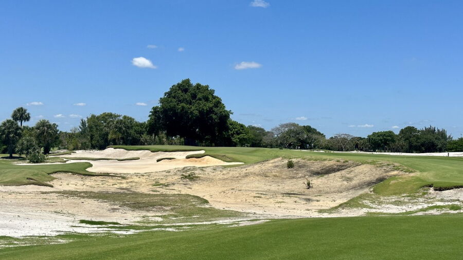 The Park West Palm: #17