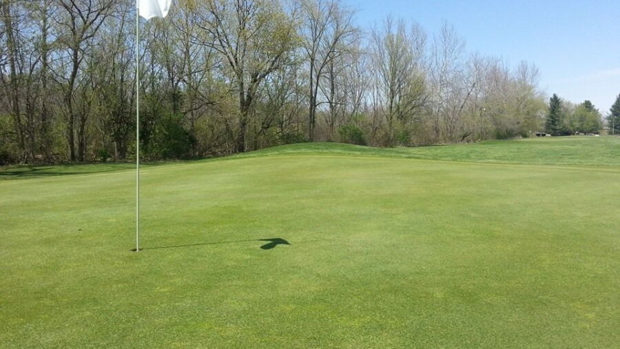 Taylors' Par 3