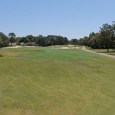 Sawgrass CC - West: #5