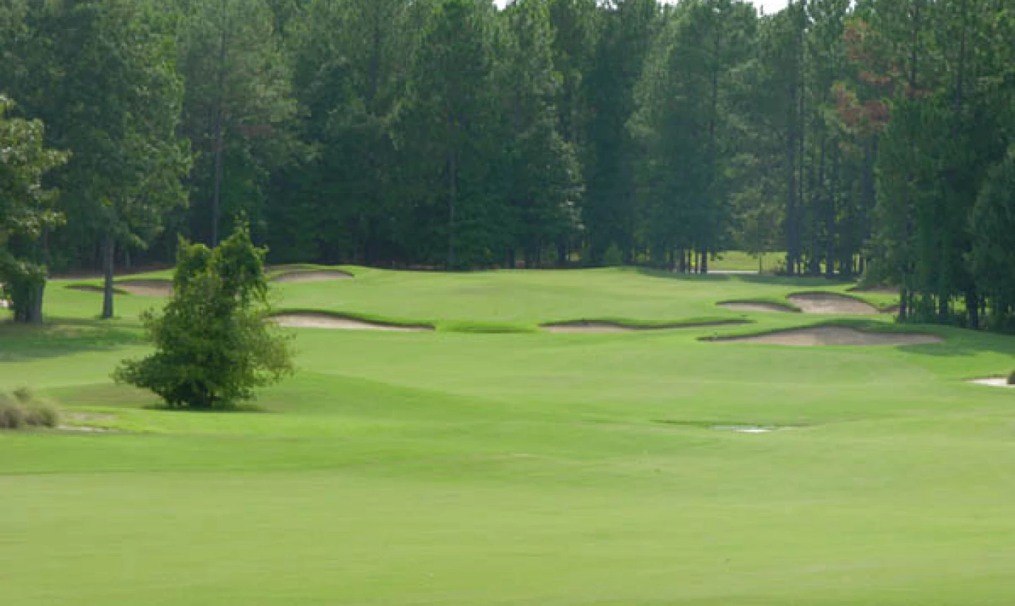 Pine Dunes Golf Resort