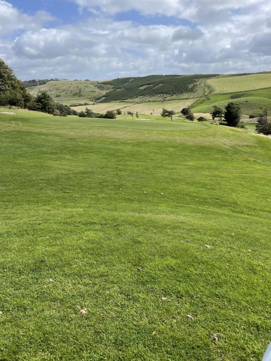 (Photo submitted by JcukCqJ7LxfzgNWZH4bH on 08/05/2025)