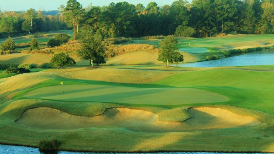 Barefoot RG - Fazio: #18