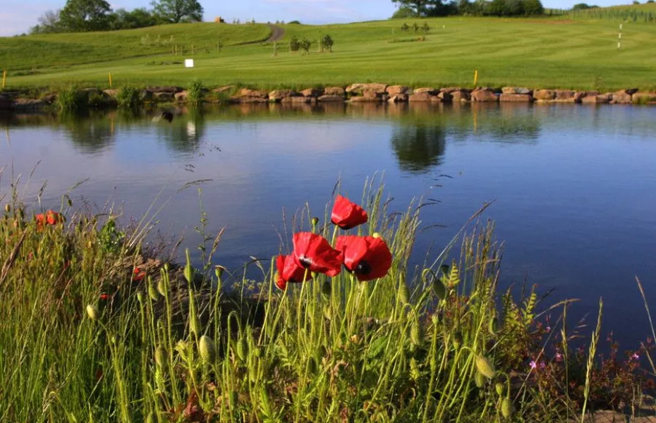 Grove Golf & Bowl - Deer Run: #8