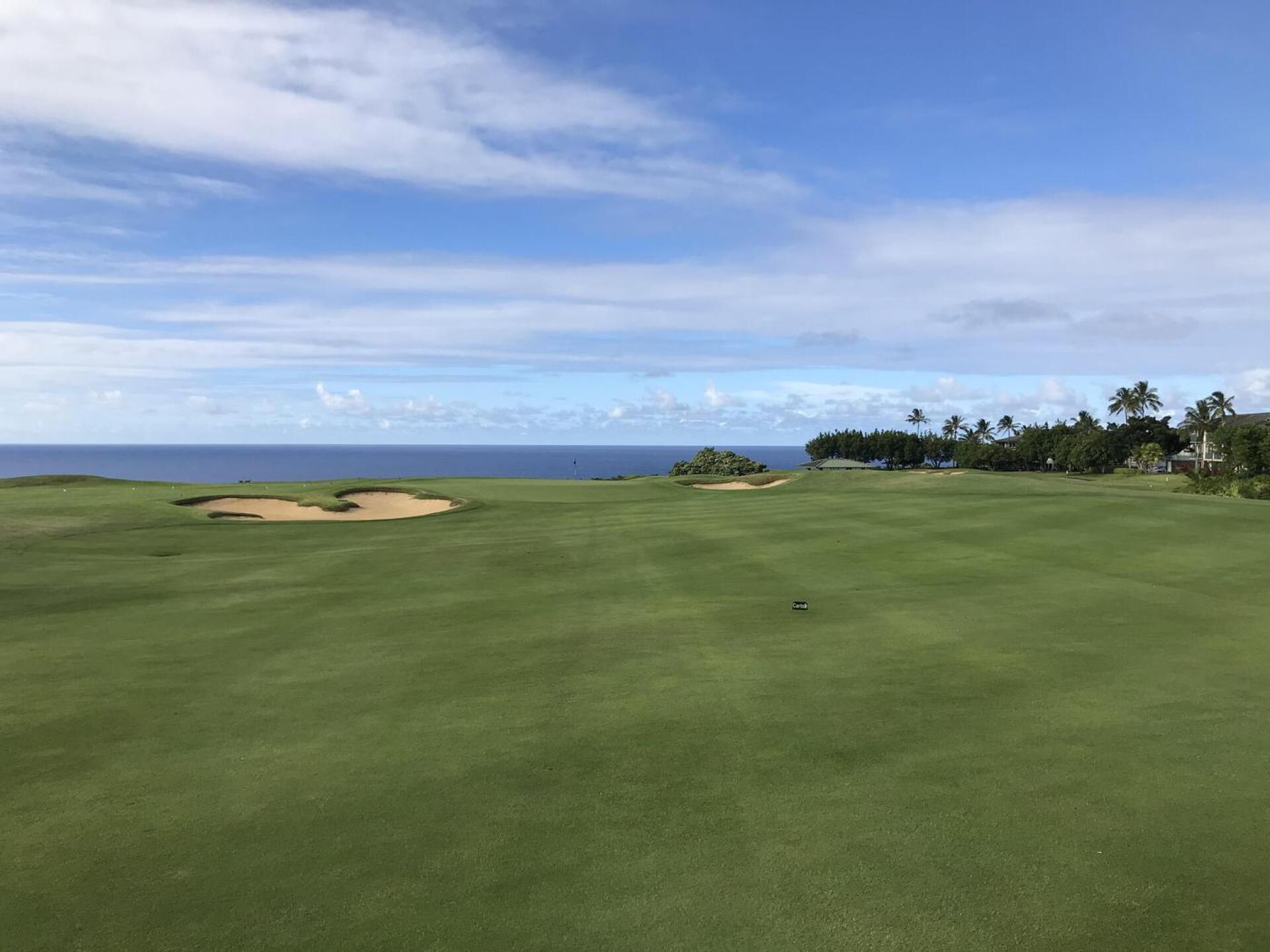 No. 12 (Photo submitted by JasonDeeganGA on 07/13/2021)