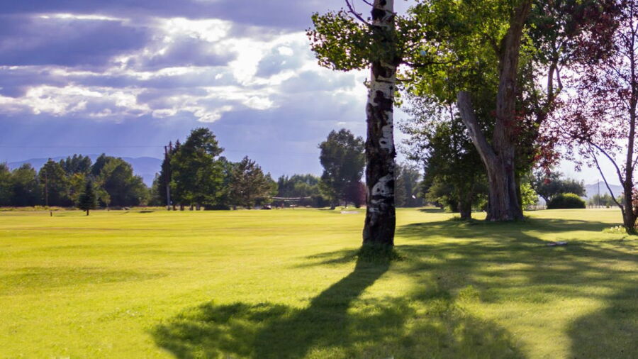 Monte Vista CC