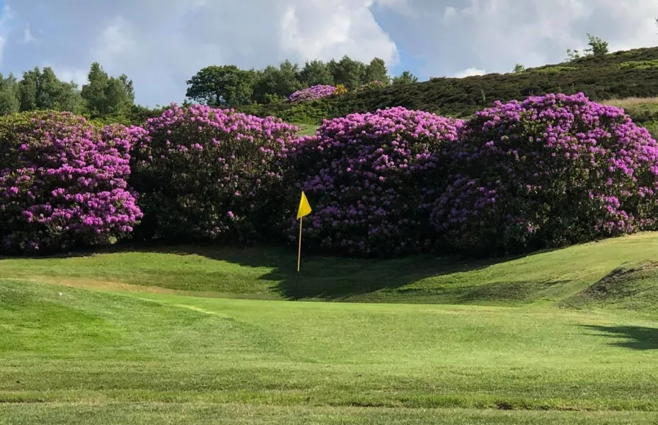Stocksbridge & District GC
