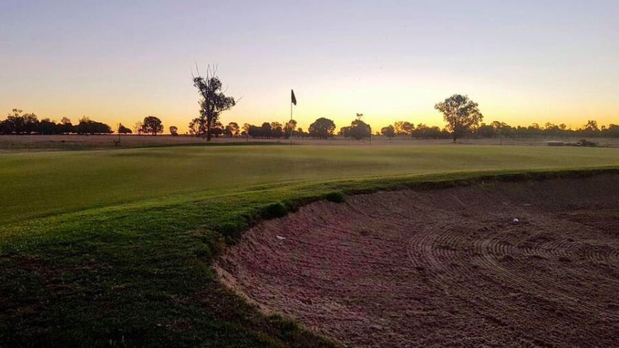 Chinchilla GC