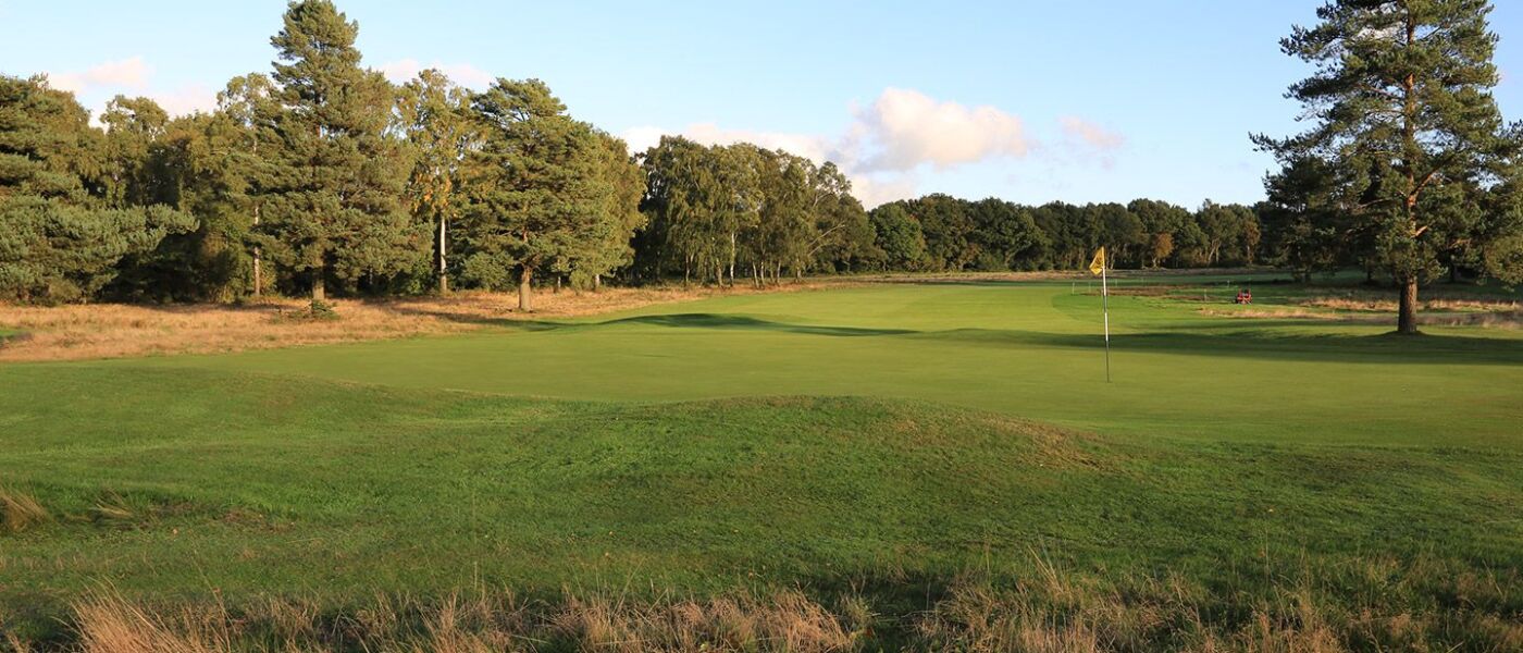 Walton Heath GC - Old