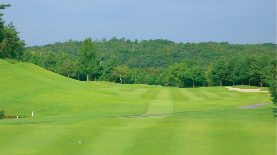 Sun Royal GC: #14