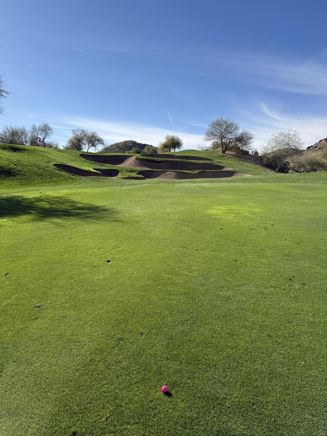 (Photo submitted by hrmills79 on 12/29/2025)