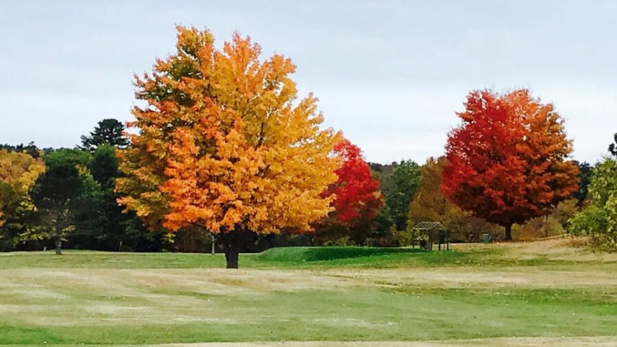 Great Chebeague GC