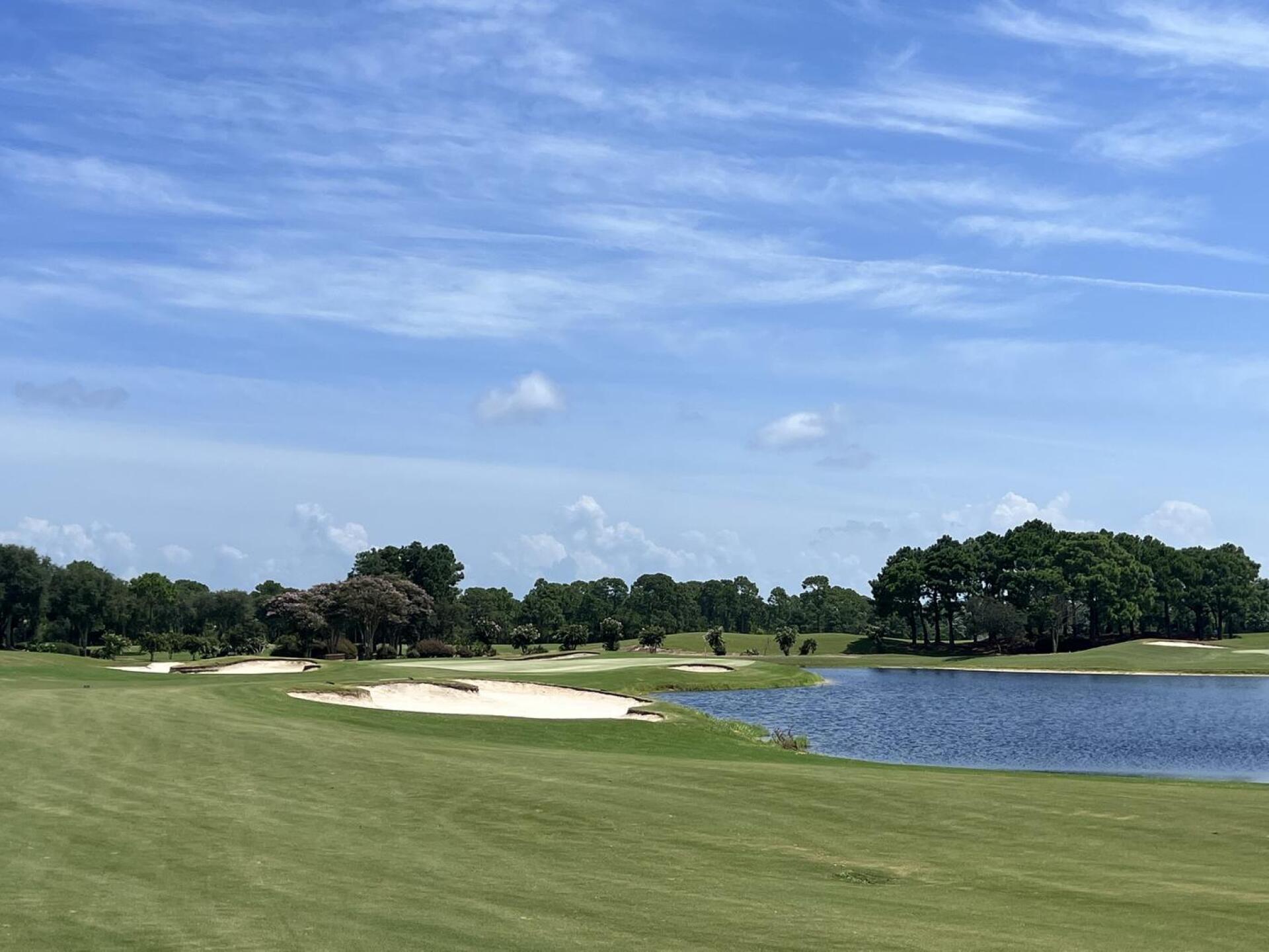 (Photo submitted by u314161231774 on 07/21/2022)