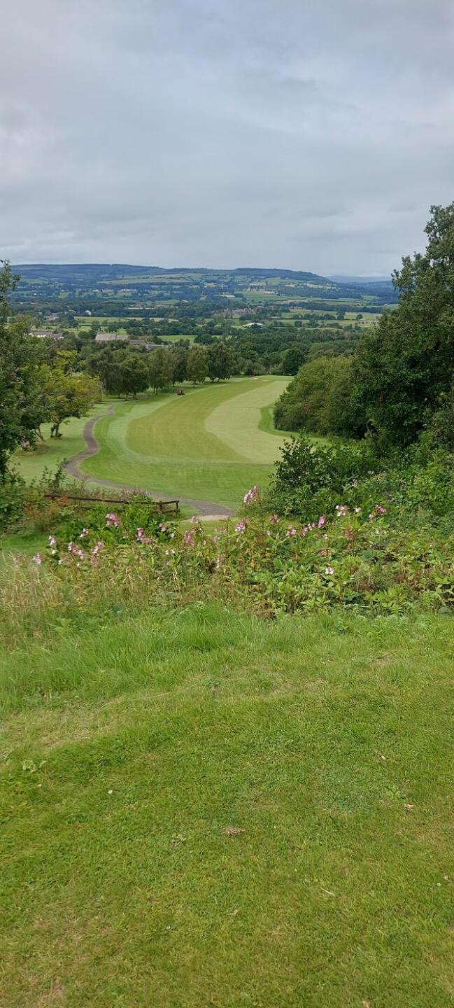 (Photo submitted by pearss on 07/29/2025)