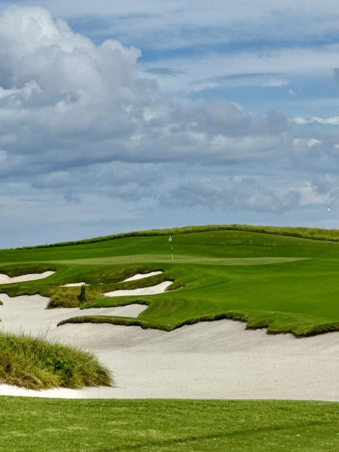 (Photo submitted by kRB3THGviXdZZXowtZ6Y on 10/23/2024)