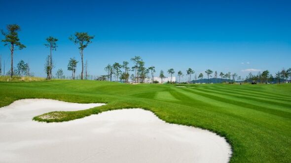 Bear's Best CheongNa GC