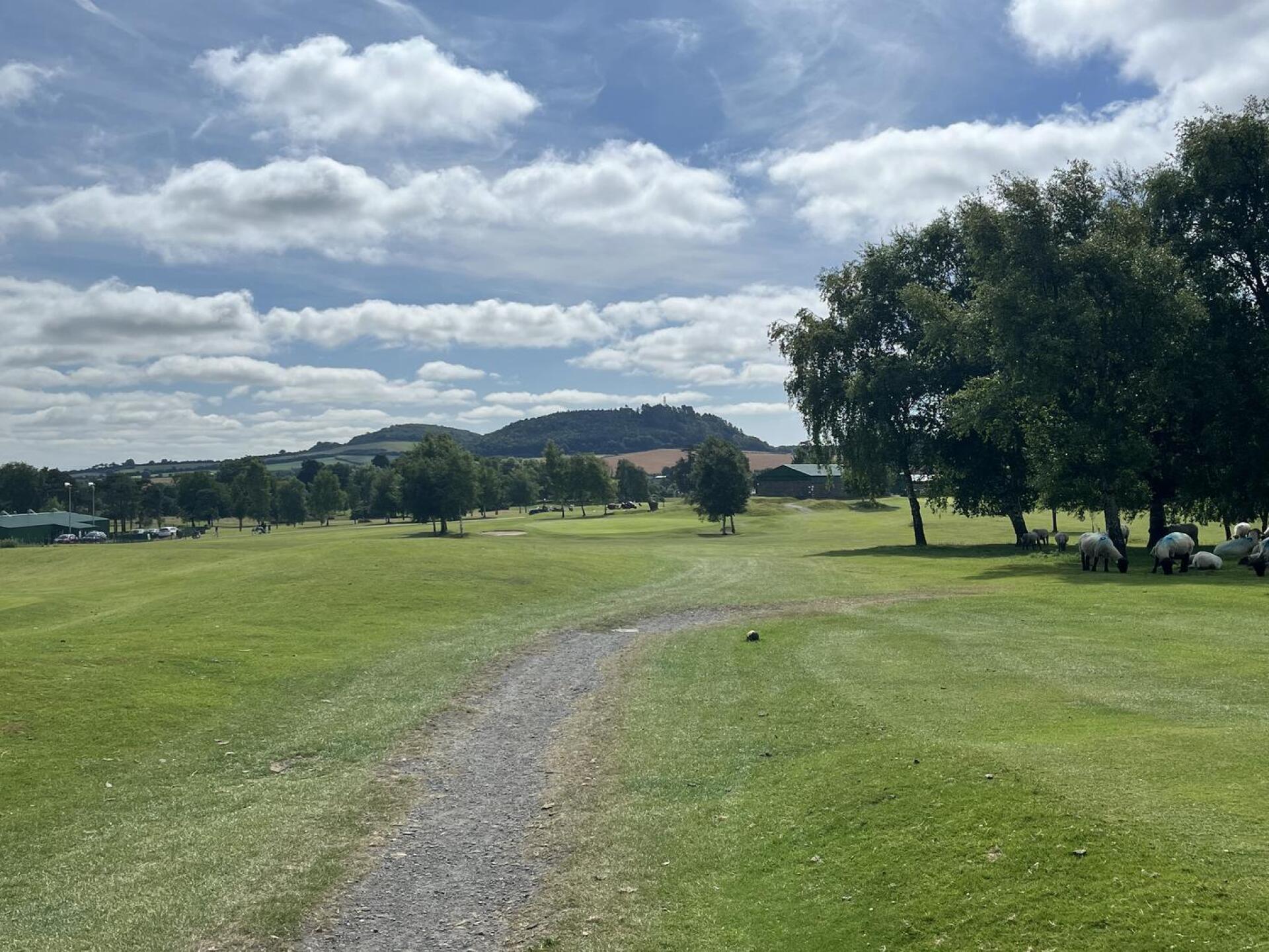 (Photo submitted by redsandwiches on 07/10/2025)