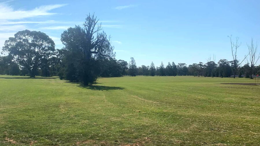 Trundle GC