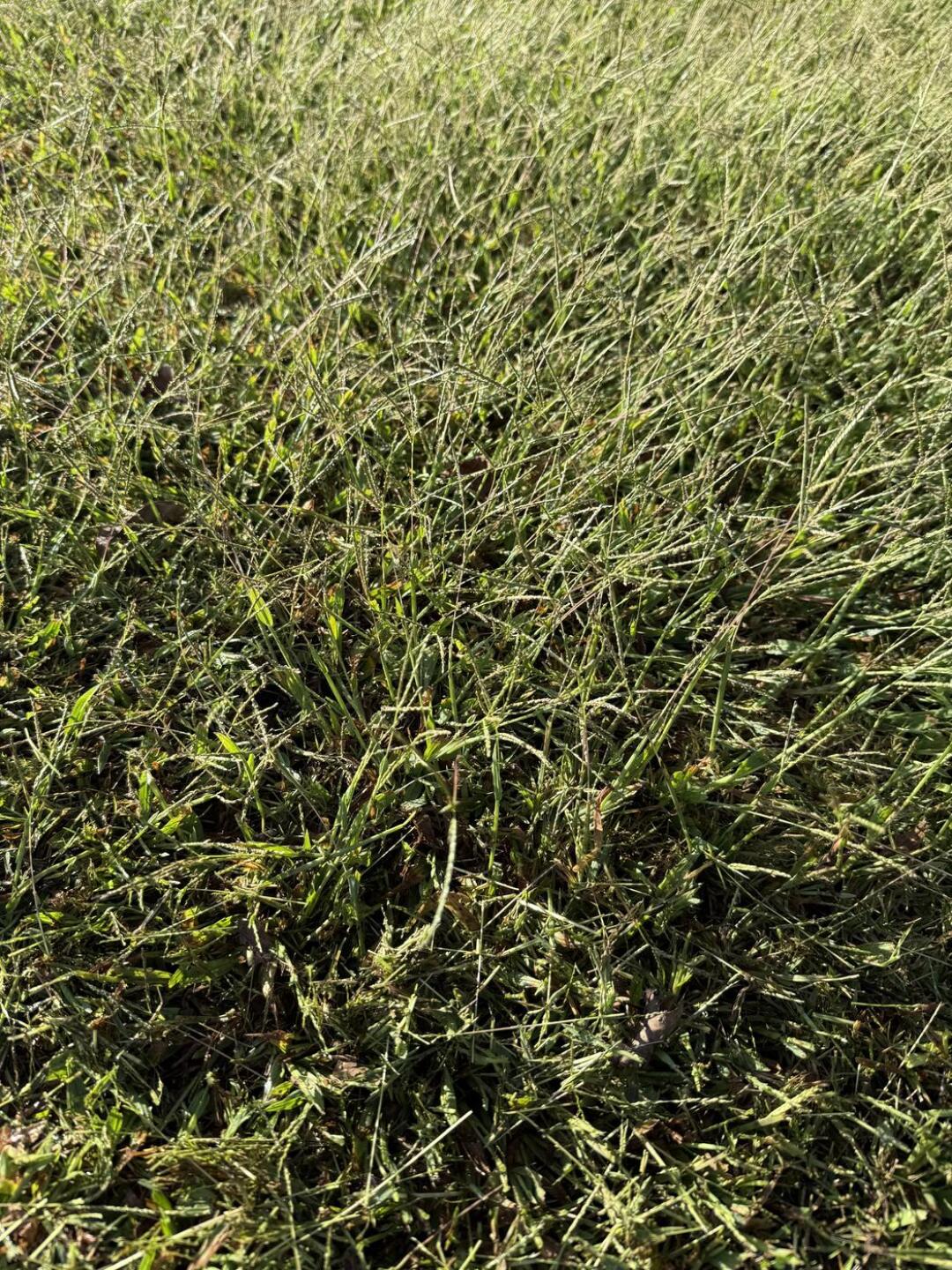 (Photo submitted by gn23709494 on 09/29/2025)