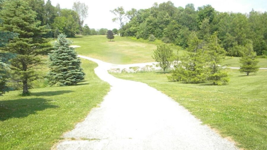 Blue Needle GC