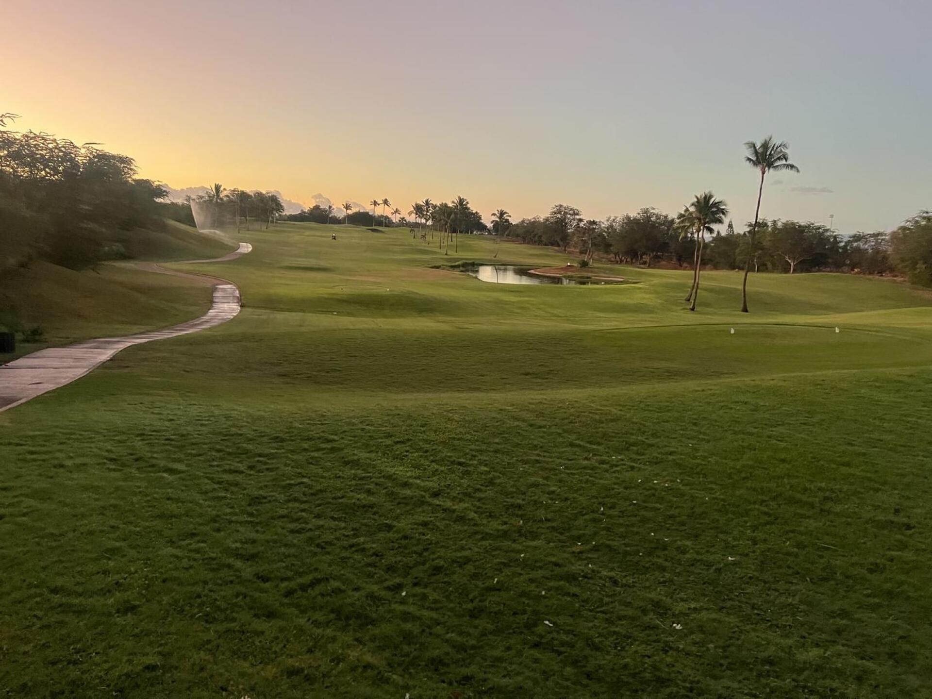 (Photo submitted by DSssJzx8RFxYlwnaJDFA on 12/15/2025)