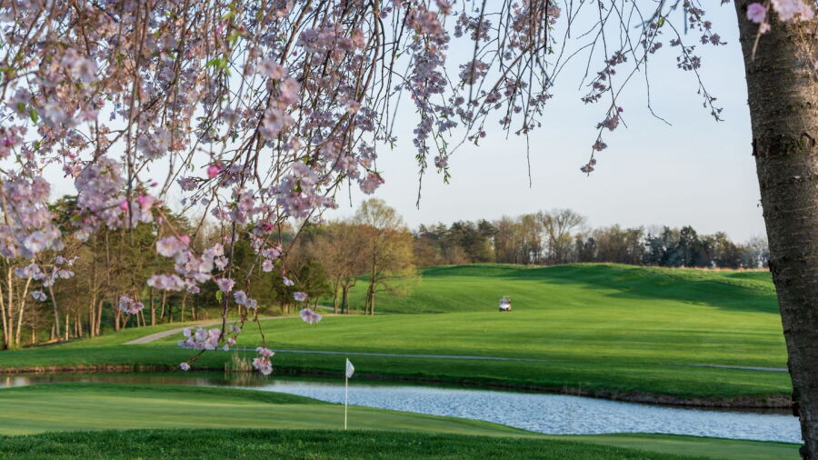 Greencastle GC: #16