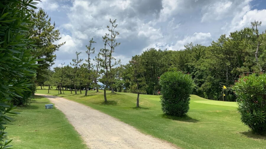 Otake Short Course