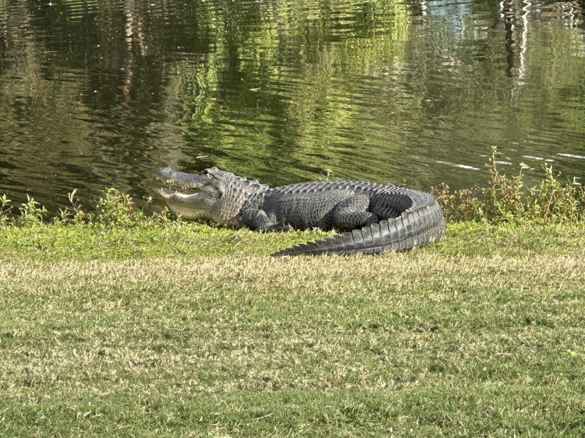 Water guard on the 5th (Photo submitted by Jetpilot86 on 12/16/2025)