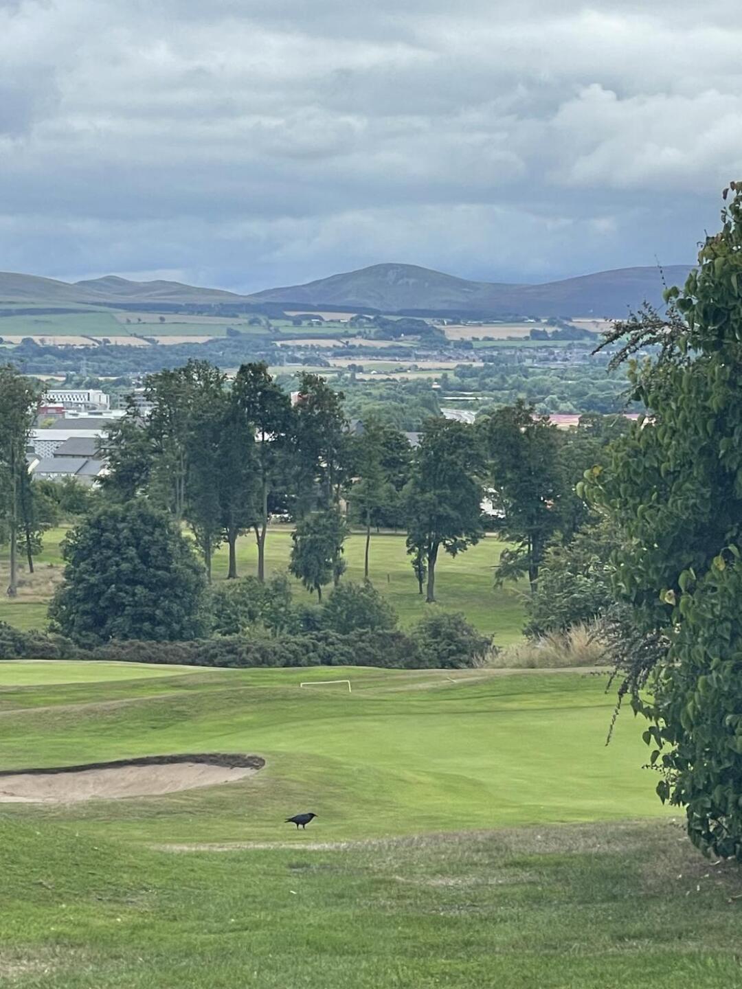 (Photo submitted by trippinjay on 08/01/2025)