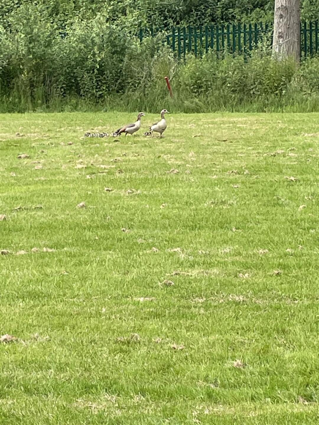 (Photo submitted by ViYuHl1IadsiGtLU5Zay on 06/08/2024)