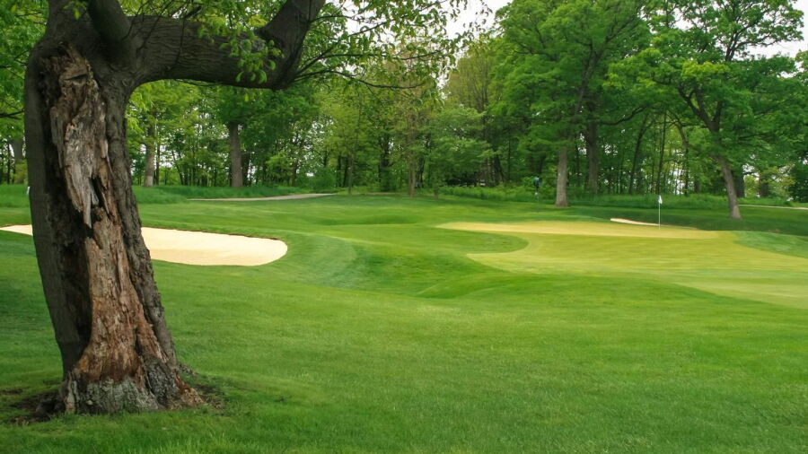 Stonebridge CC: #14