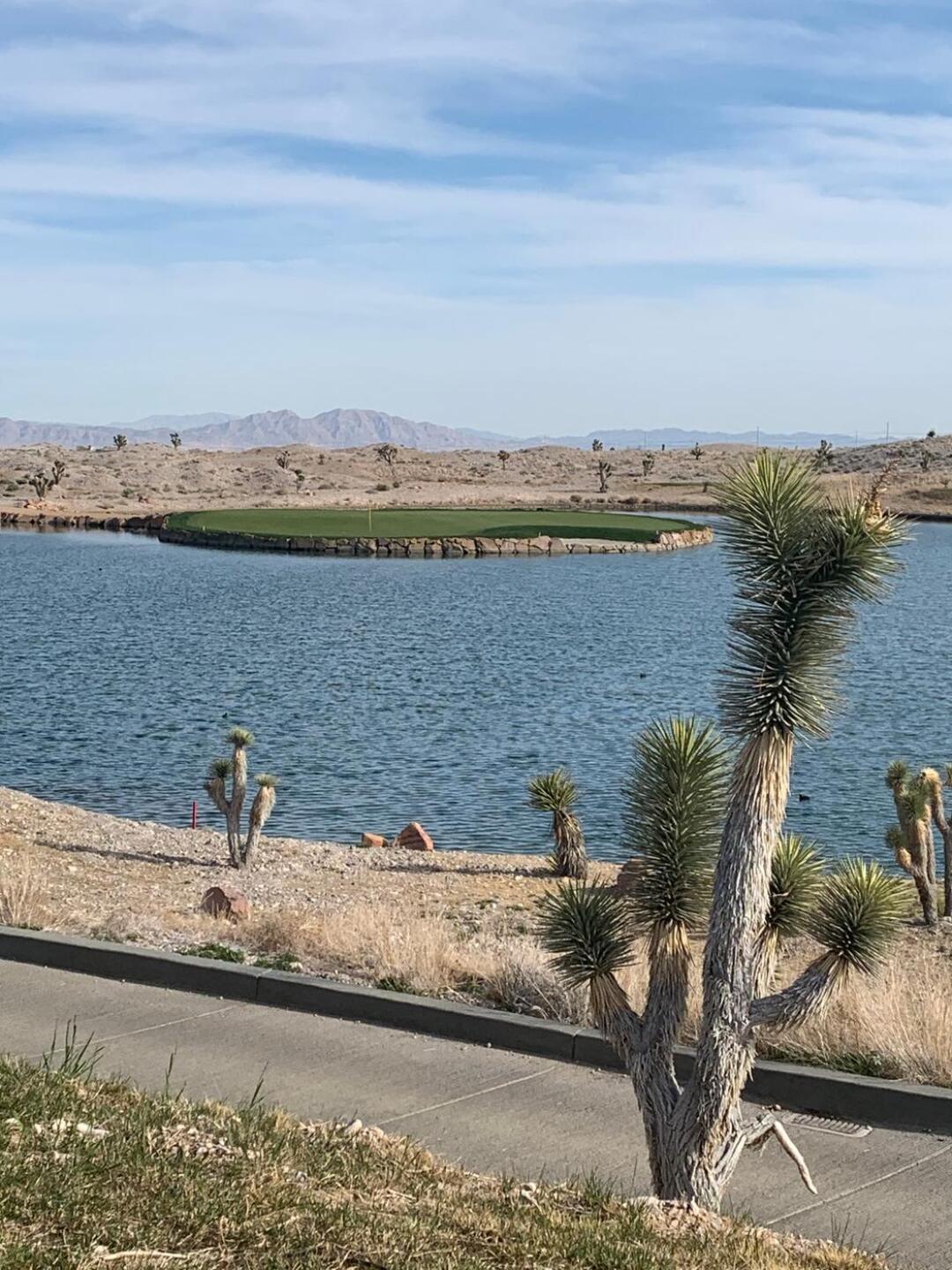 (Photo submitted by Bertoni8 on 02/28/2020)