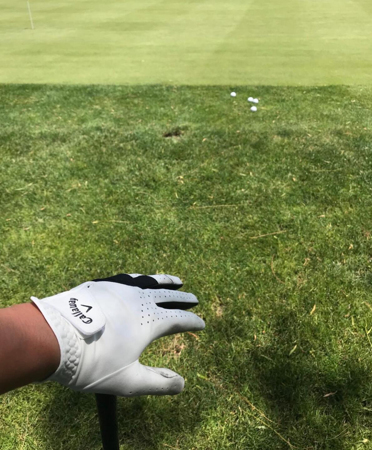 (Photo submitted by GolfSoccerSkate on 09/29/2019)