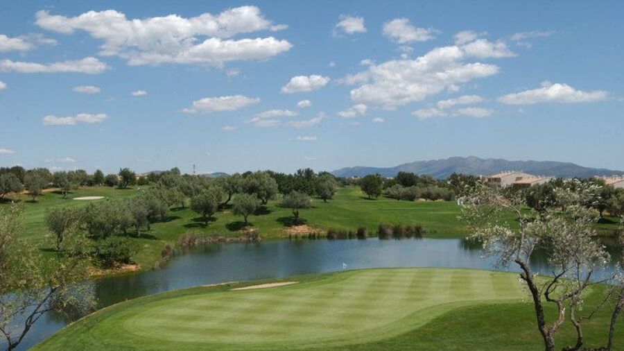 Panoramica GCC: #5