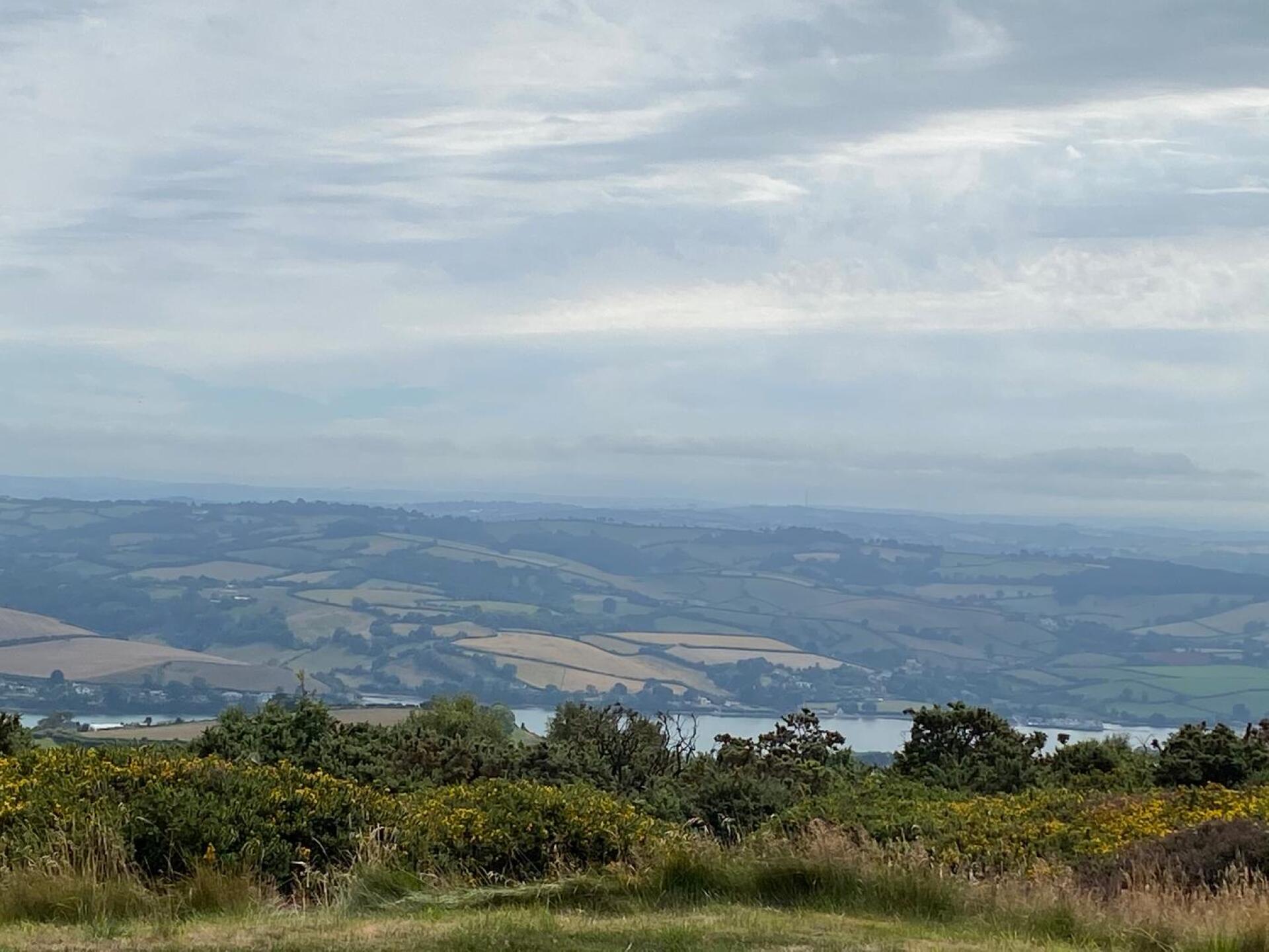 (Photo submitted by u105131846 on 08/01/2020)