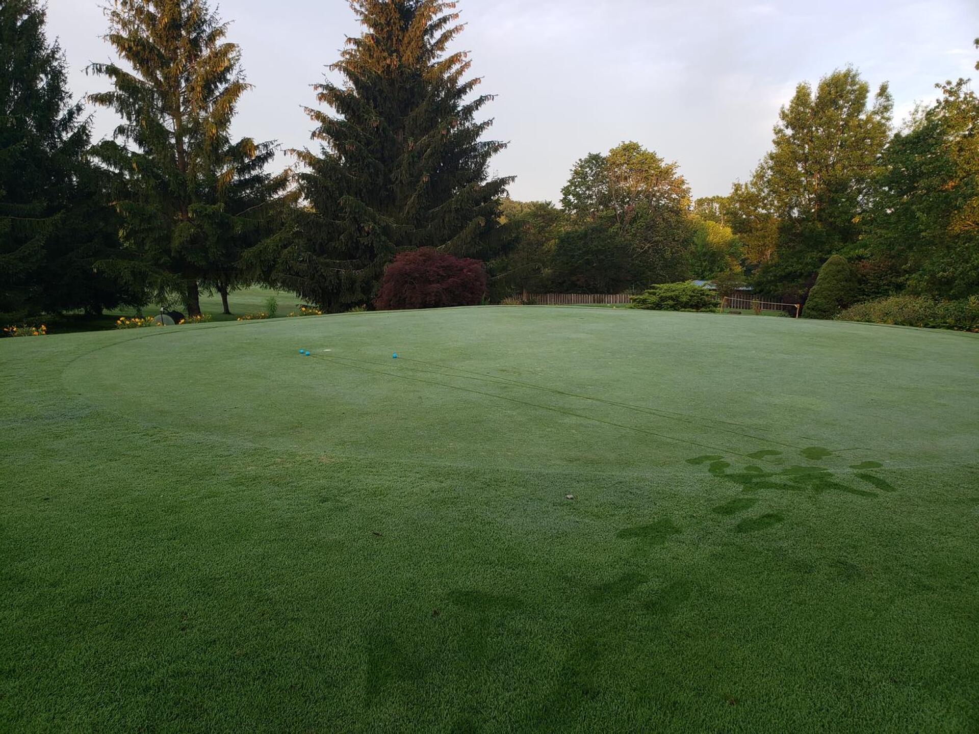 (Photo submitted by u314160409379 on 08/16/2021)