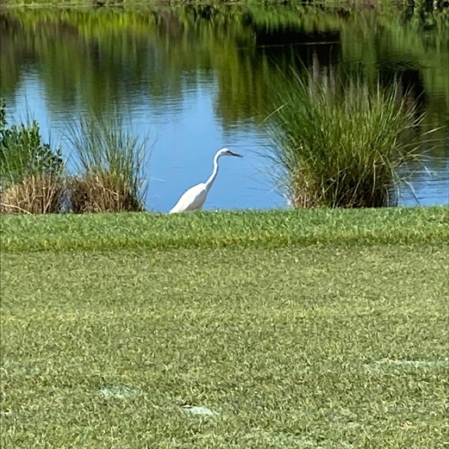 (Photo submitted by u00000445959 on 03/28/2022)