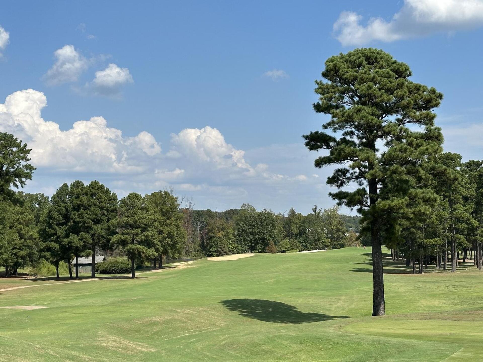 (Photo submitted by Pauli71 on 10/03/2024)