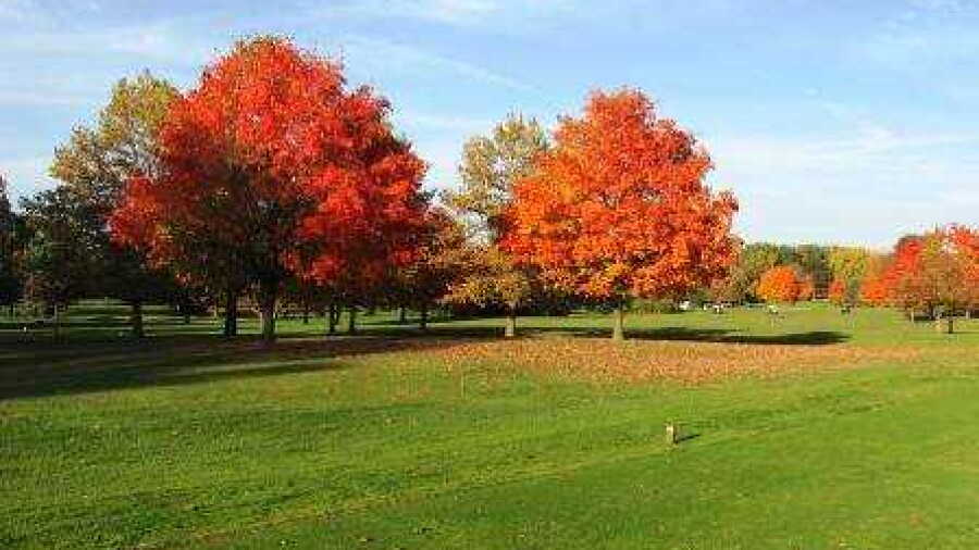 Coyote Run GC