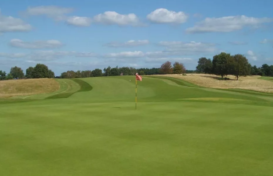 Delamere Forest GC: #17