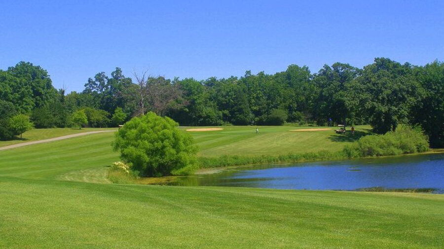 Brighton Dale Links