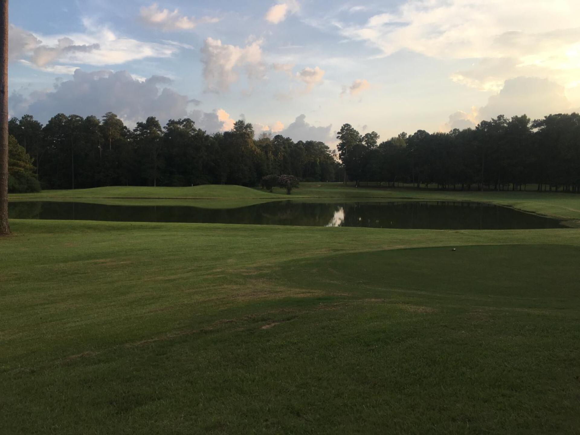 17 green across the lake (Photo submitted by inozips on 08/15/2019)