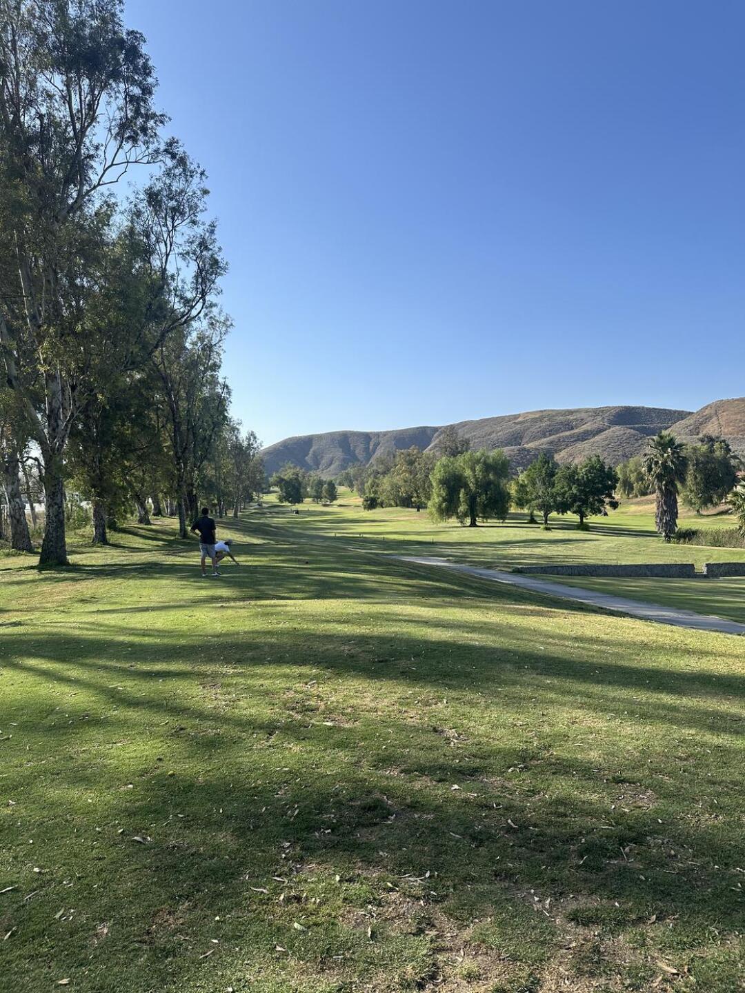 (Photo submitted by Mick0514 on 06/21/2025)