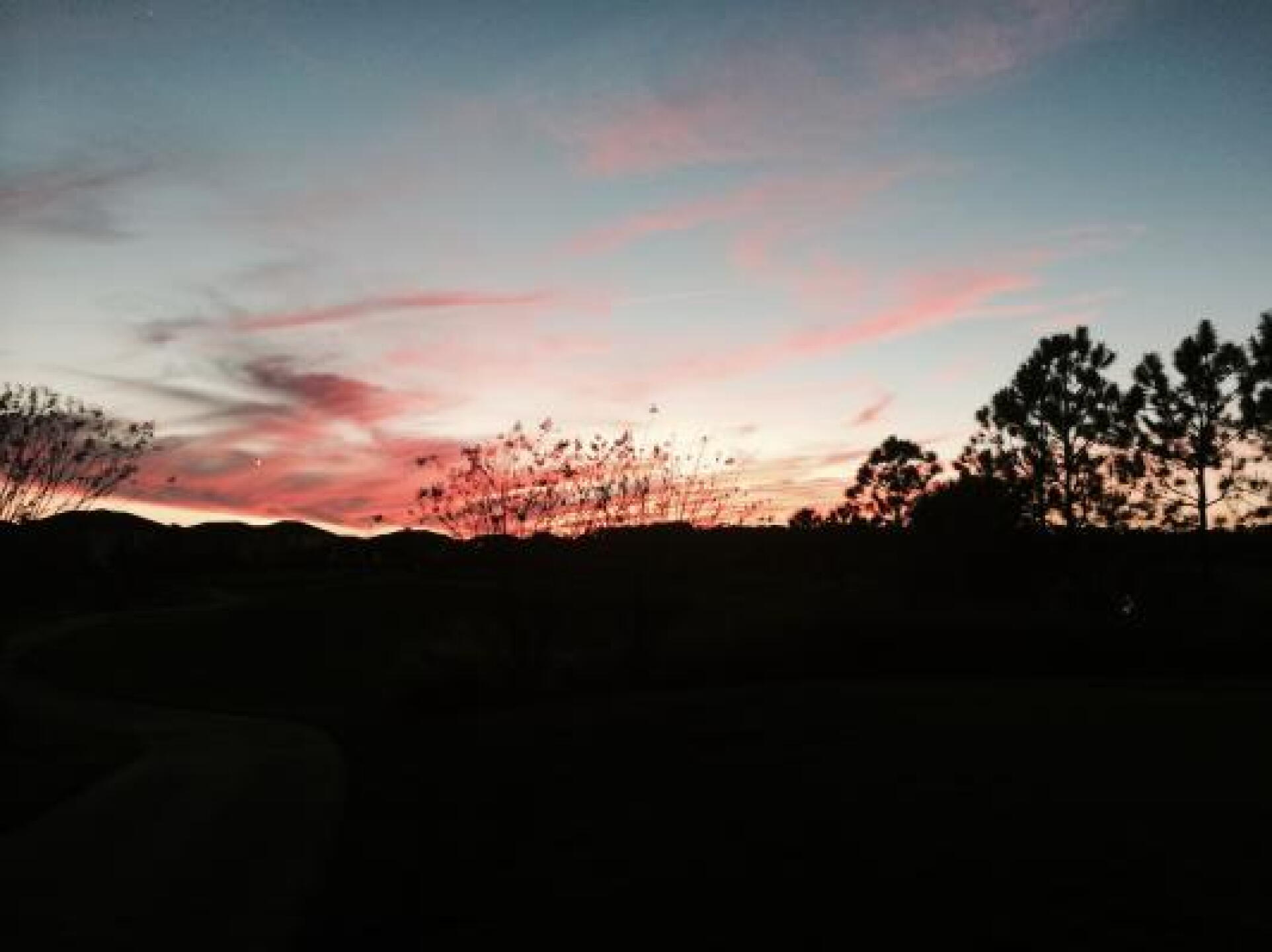 9 hole tee up (Photo submitted by gustavocl on 12/18/2013)