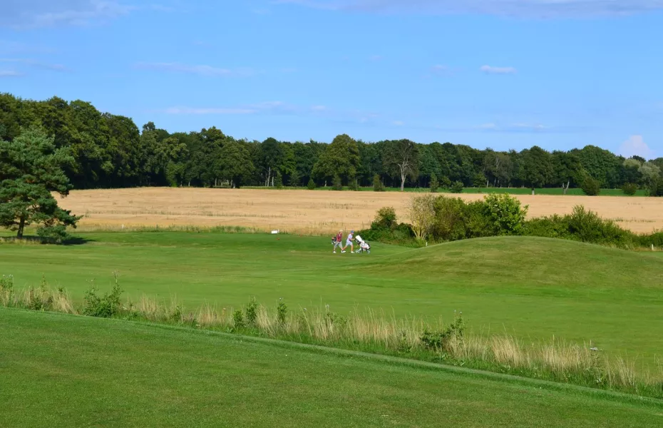 Degeberga Widtskofle GC - Short